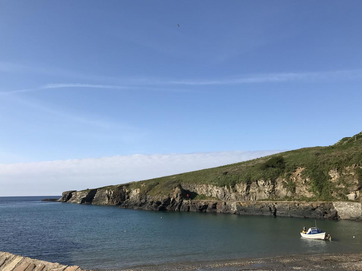 Stargazy Inn Port Isaac Exterior foto